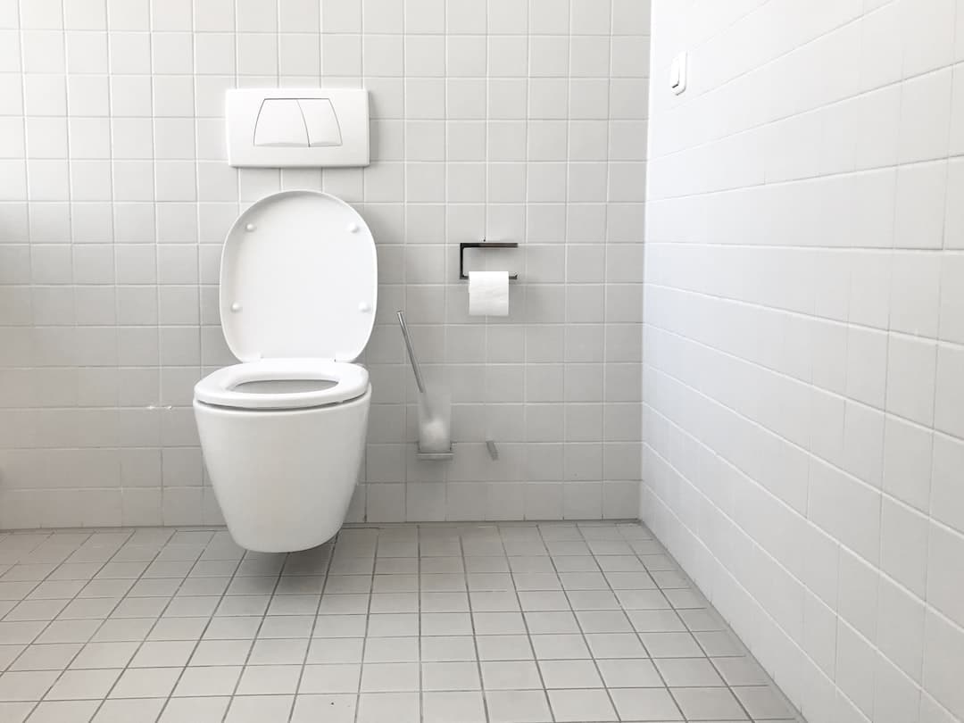 Unclog a Toilet