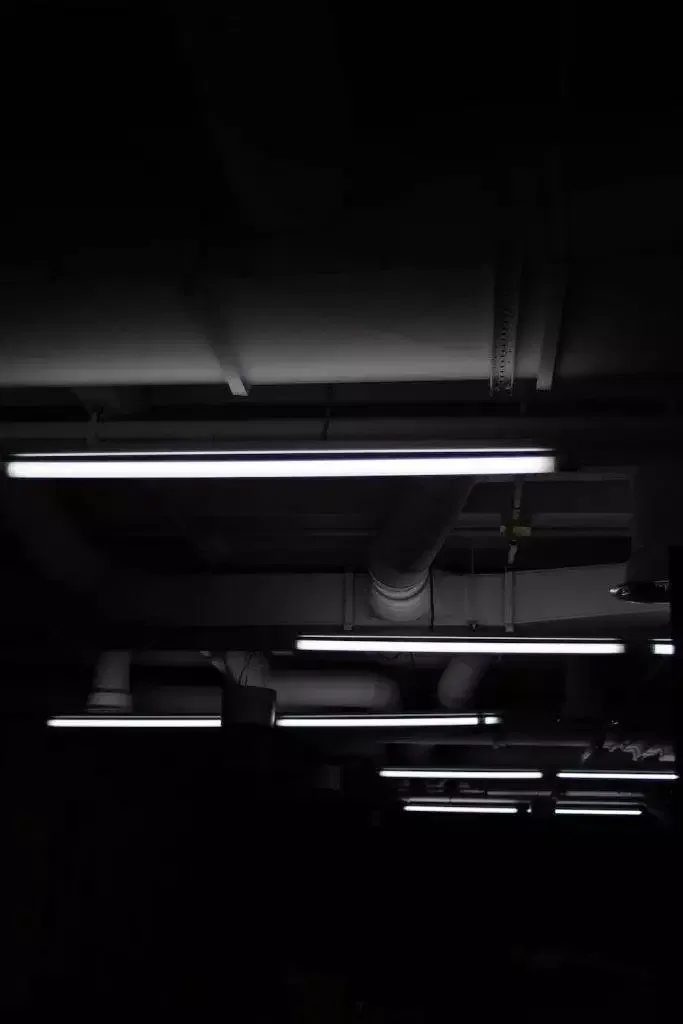  Fluorescent Light