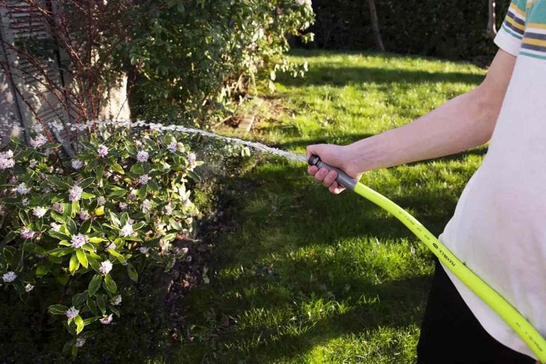 Top Garden Hose Picks