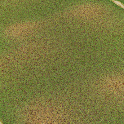 Fixing A Patchy Lawn