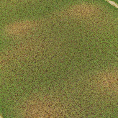 Fixing A Patchy Lawn