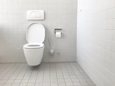 Unclog a Toilet