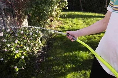 Top Garden Hose Picks