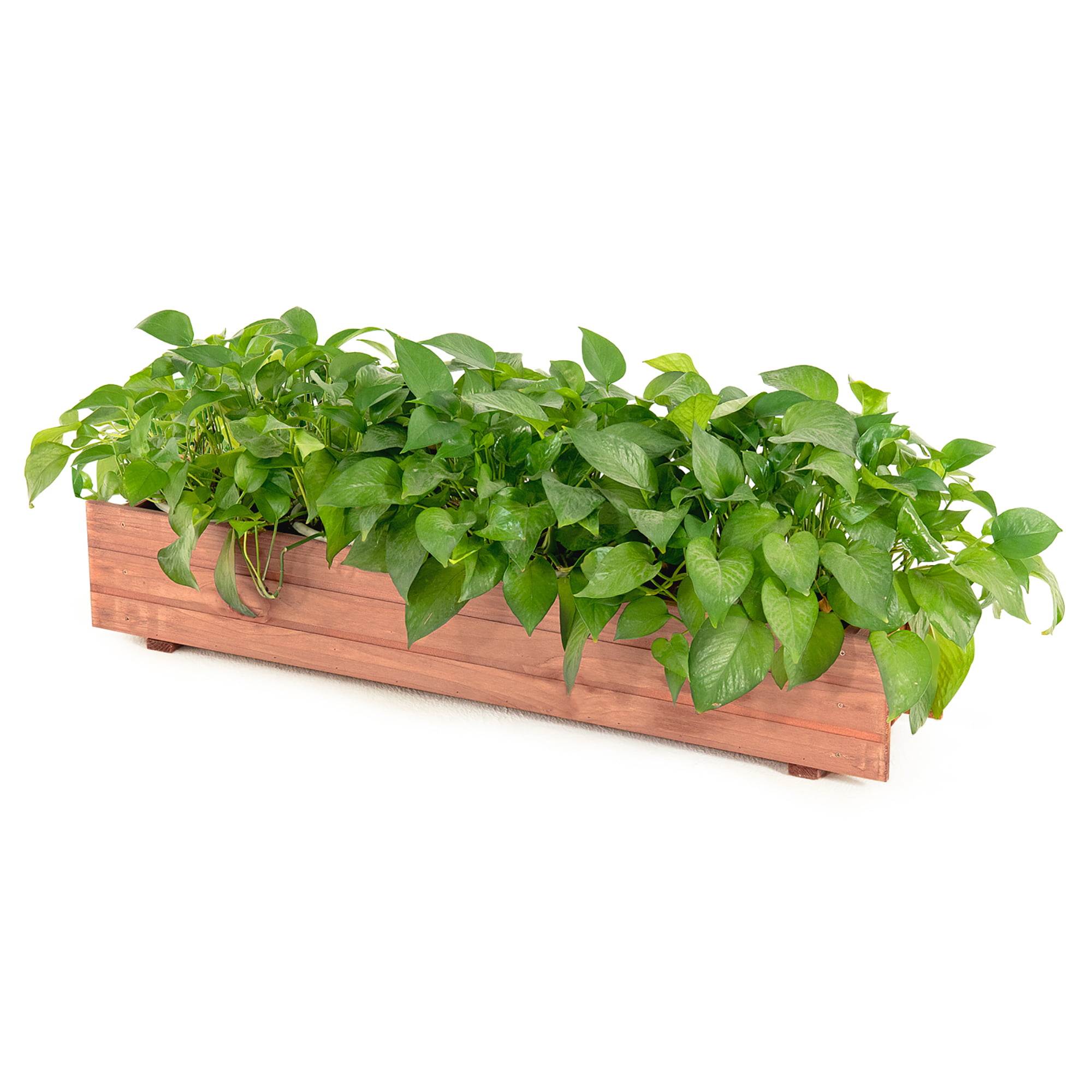 The Best Window Box Planters